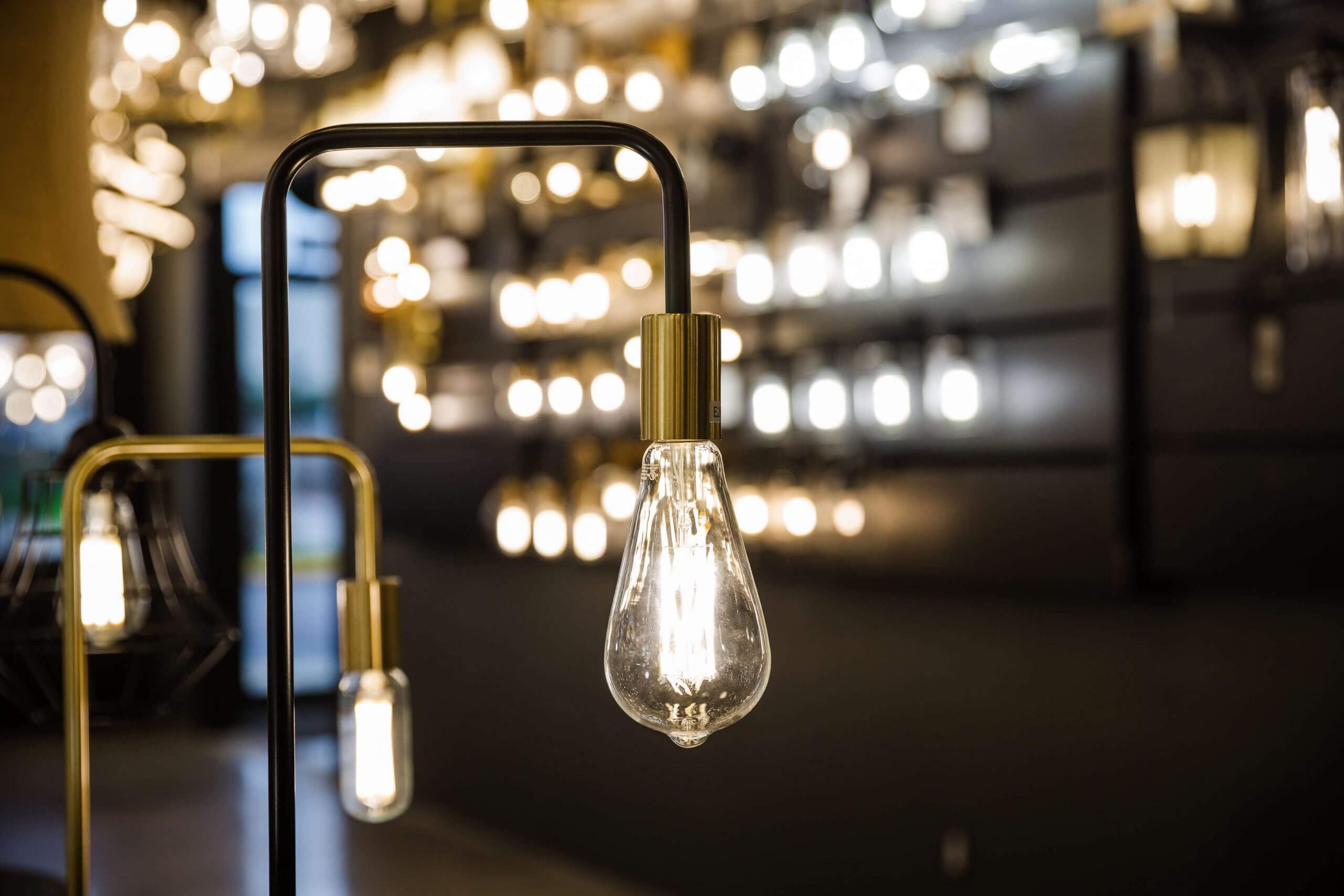 Wide view of illuminated fixture displays inside the Xpress Lighting showroom